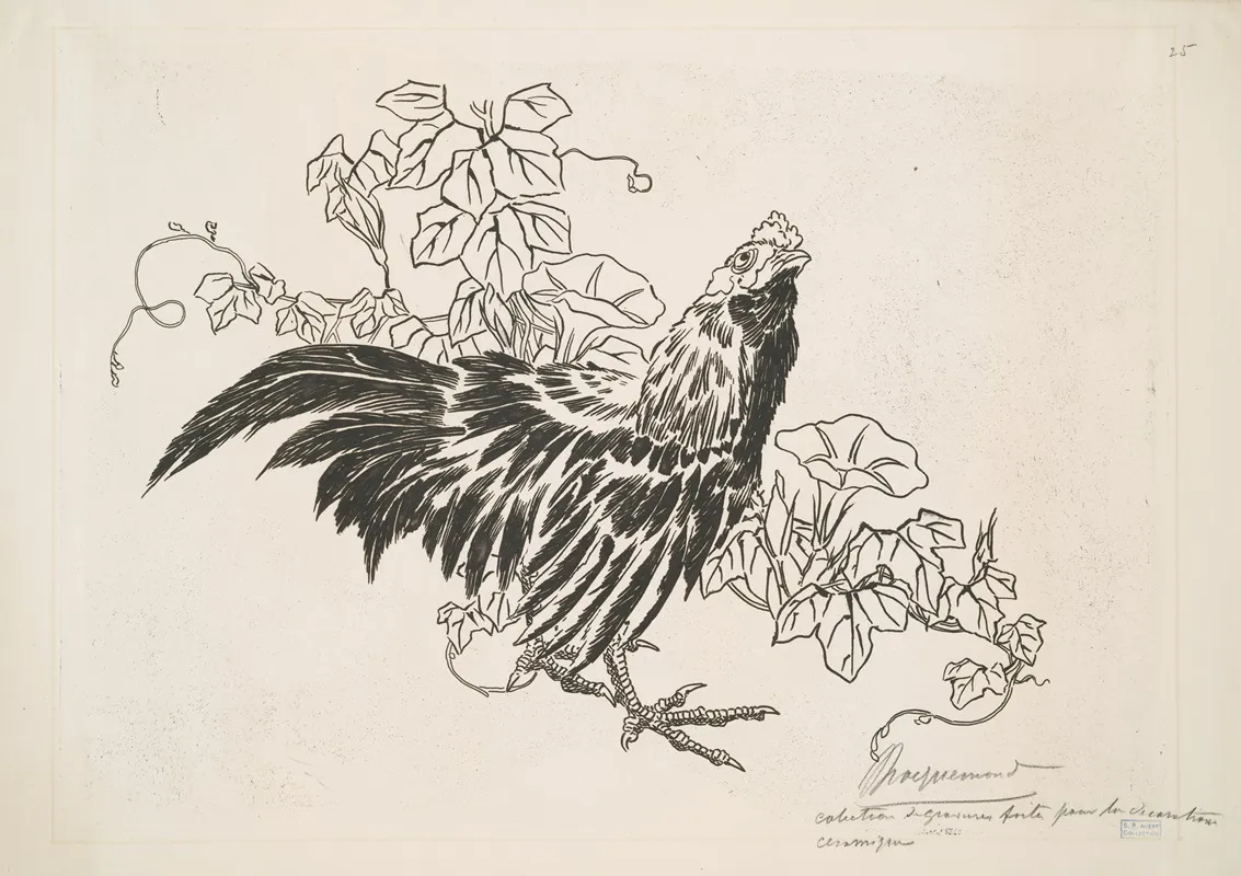 Un Coq Et Des Liserons