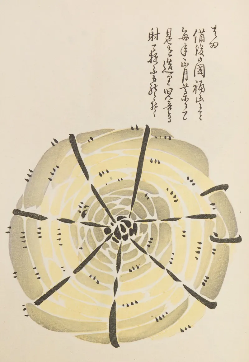 Unai No Tomo Pl 130 by Shimizu Seifū - Canvas Print
