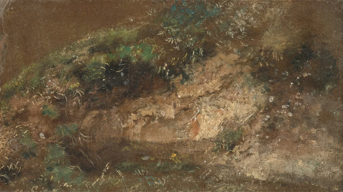 Undergrowth by John Constable - Canvas Print