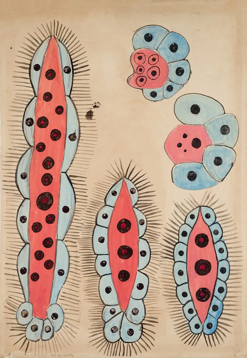 Unidentified 6