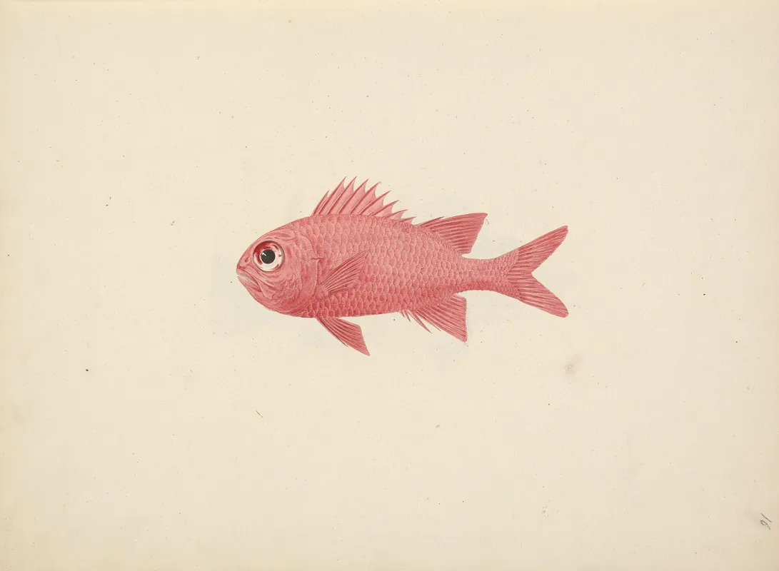 Unidentified Fish 12