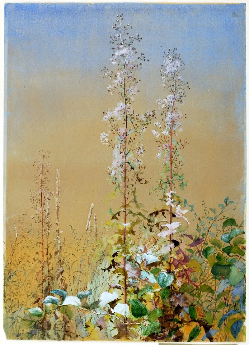 Untitled 20 by Fidelia Bridges - Canvas Print