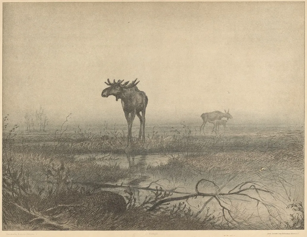 Urtid Pre Stoneage Denmark