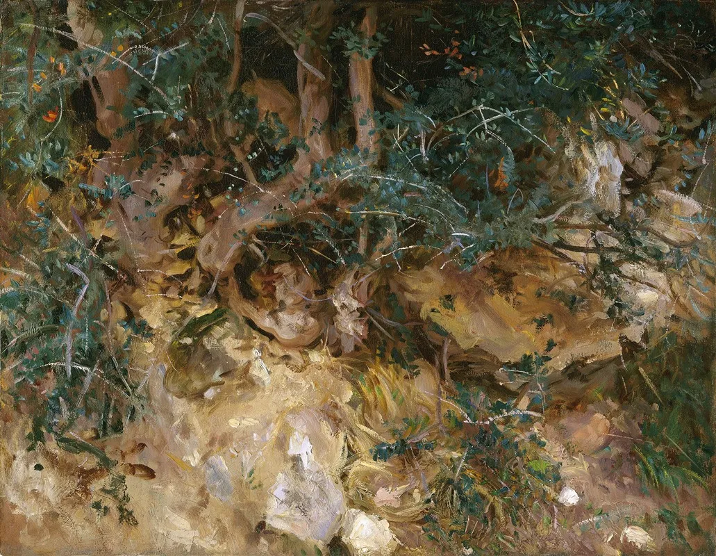Valdemosamajorca Thistles And Herbage On A Hillside
