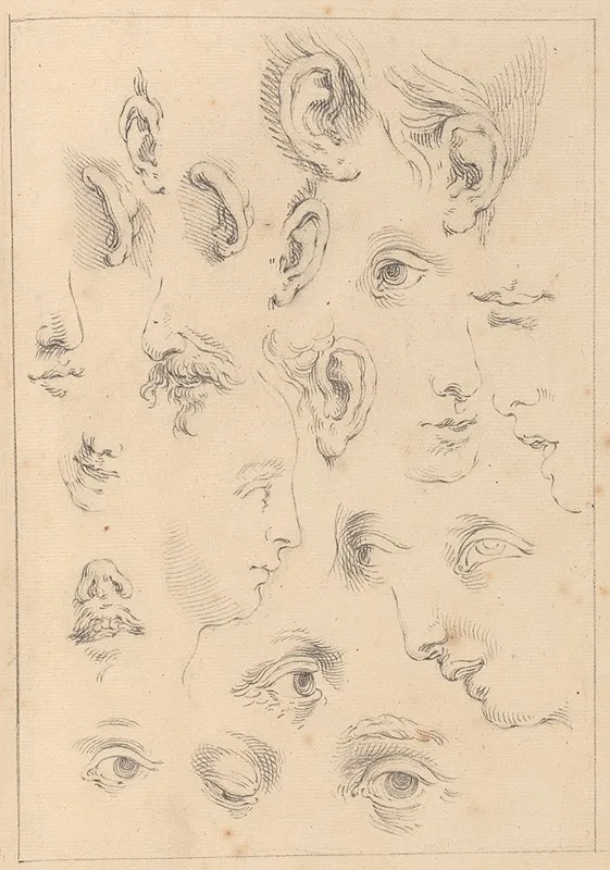 Various Sketches Of Eyes Ears And Profiles by Hamlet Winstanley - Canvas Print