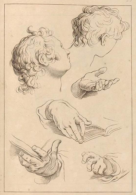 Various Sketches Of Heads And Hands by Hamlet Winstanley - Canvas Print