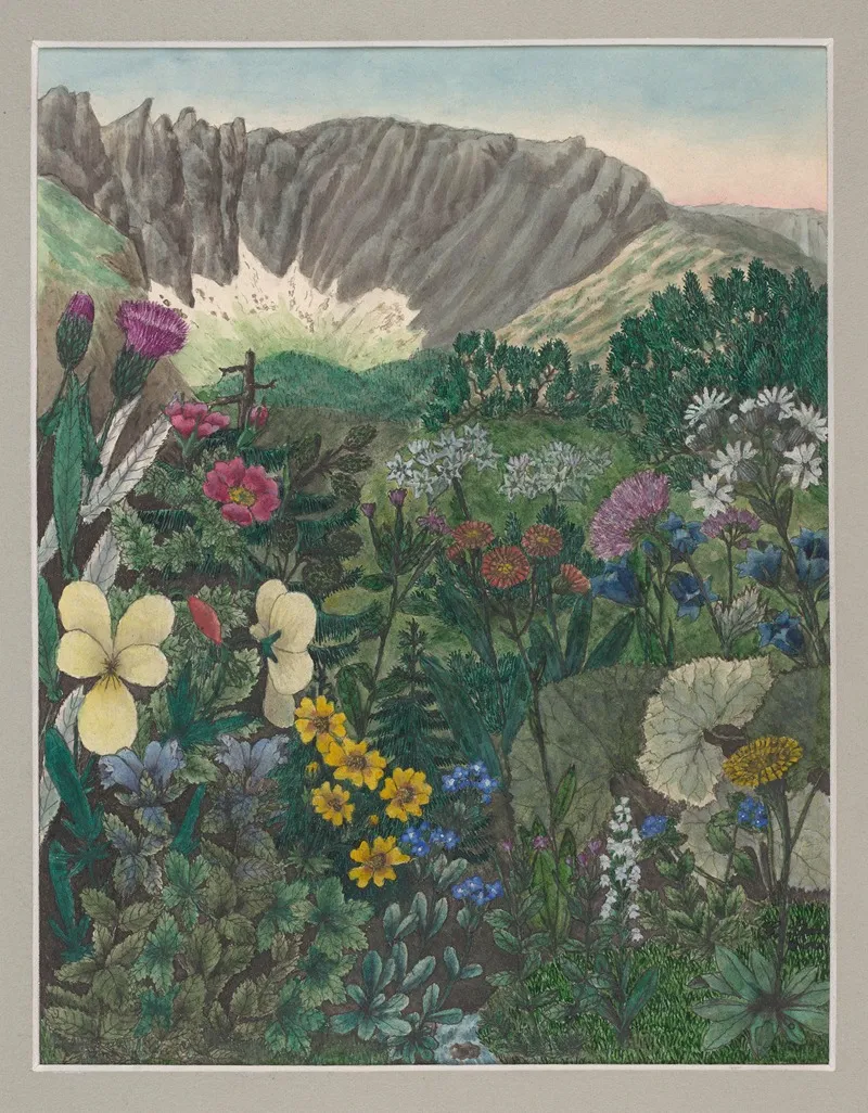 Vegetation Of The Karkonosze Mountains Pl 1