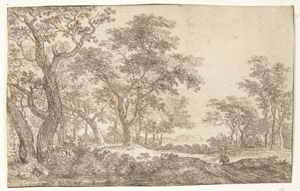 Vej I En Skov by Simon de Vlieger - Canvas Print