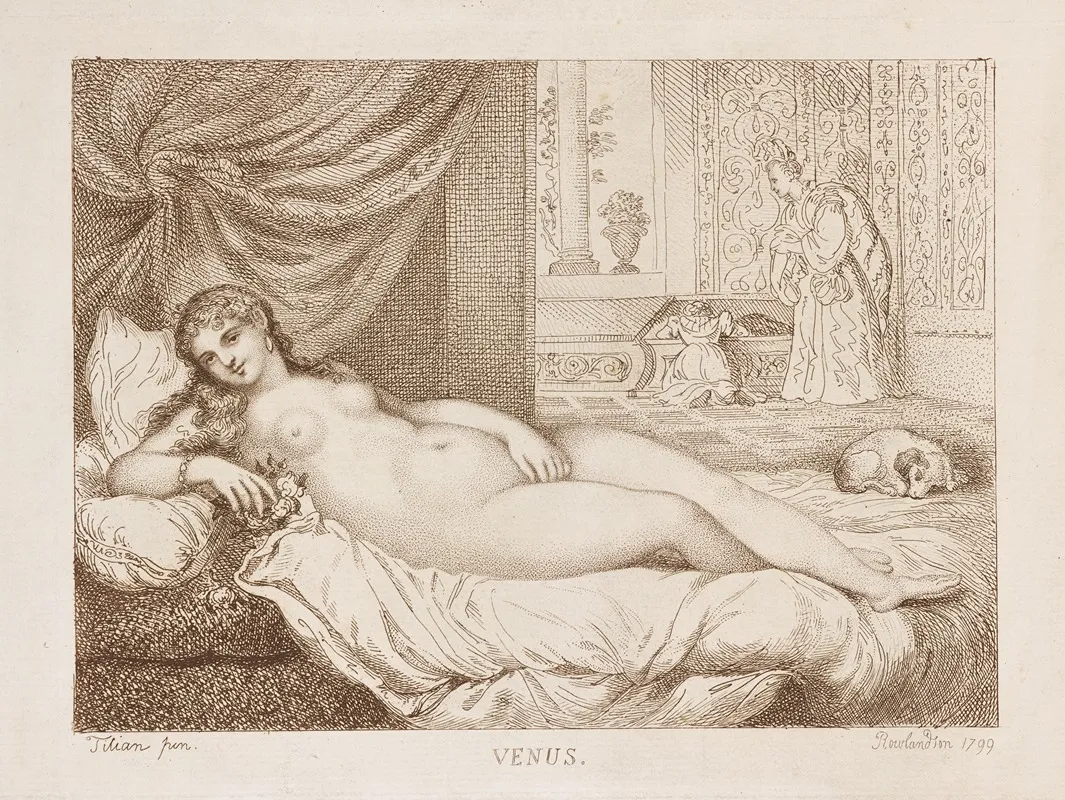 Venus 26