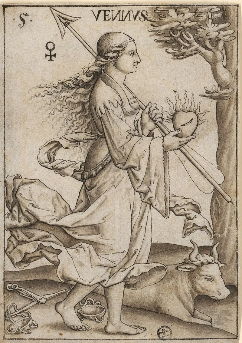 Venus Aus Einer Planetenserie