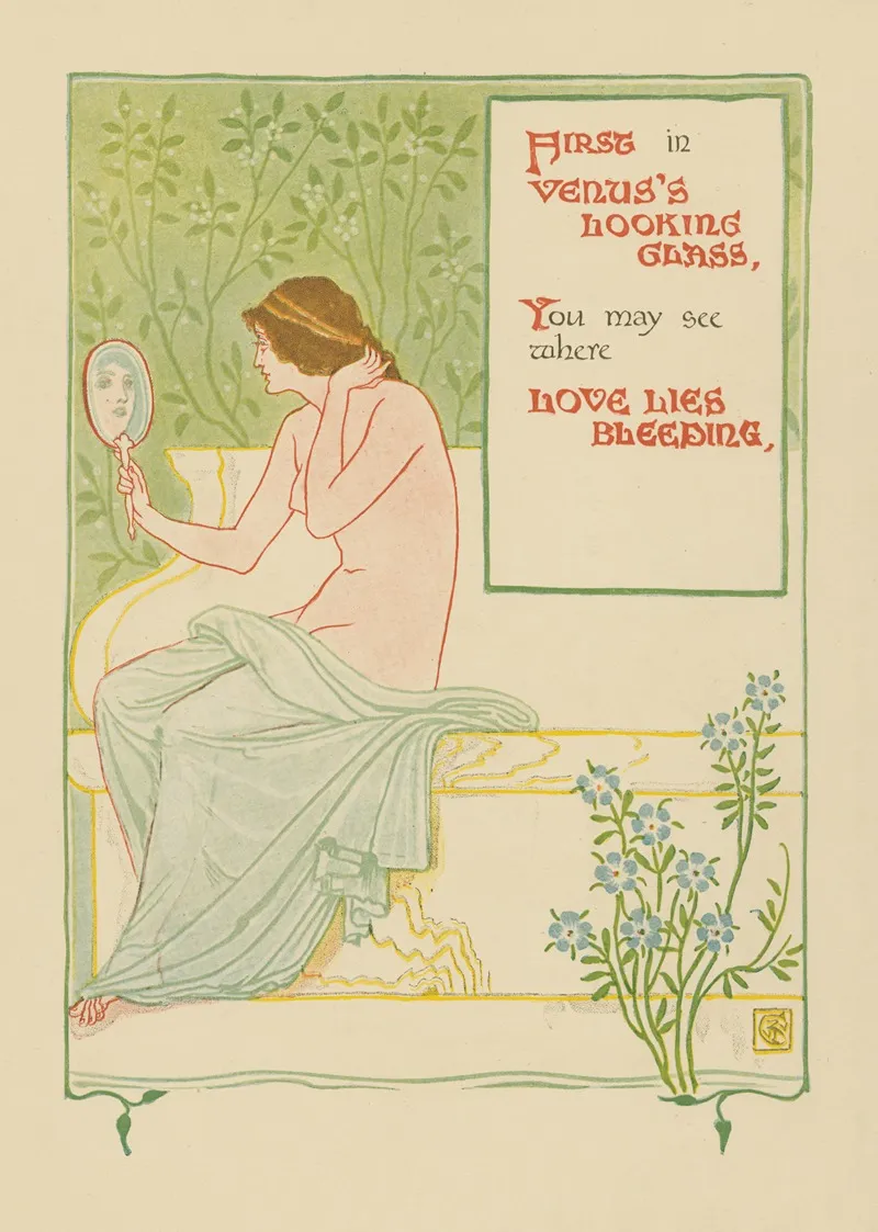 Venuss Looking Glass