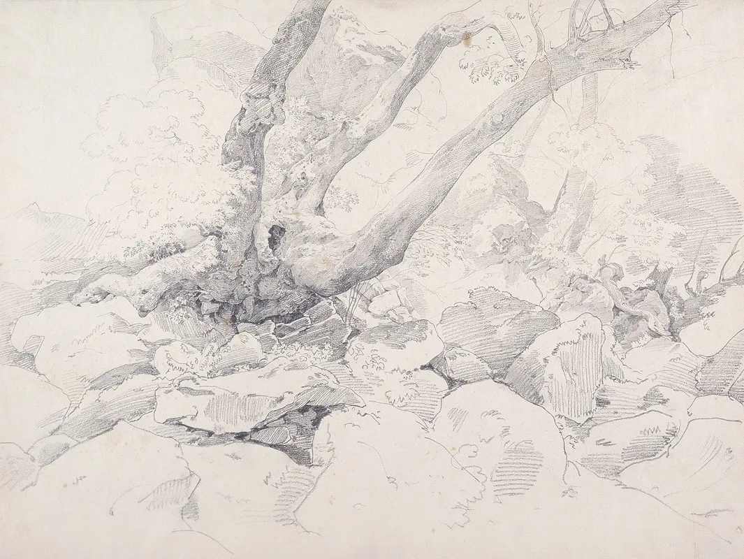 Verkruppelter Baumstamm Auf Felsen Bei Ariccia by Ernst Fries - Canvas Print