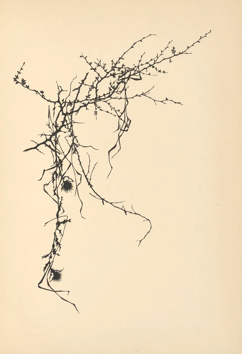 Vertrauen Pl 08