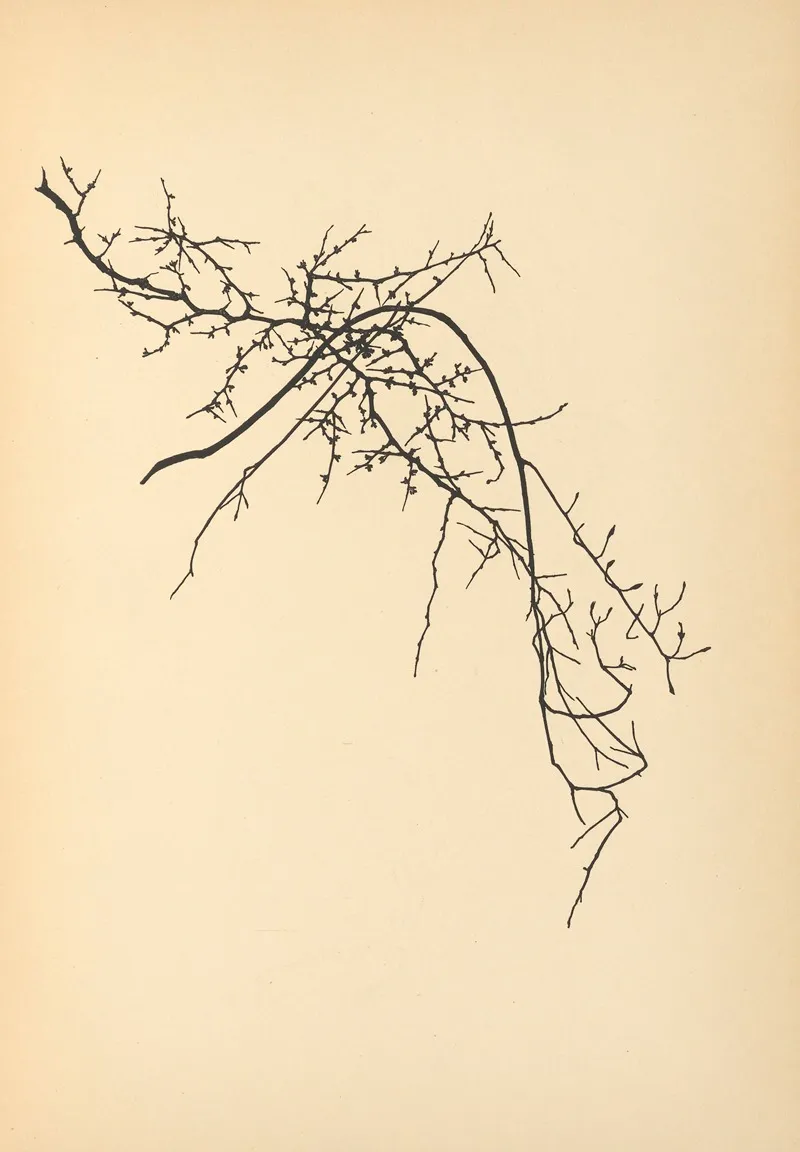 Vertrauen Pl 09
