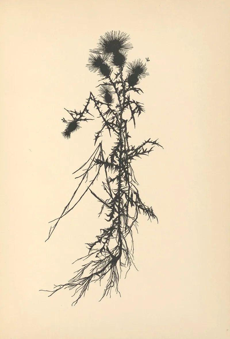 Vertrauen Pl 19