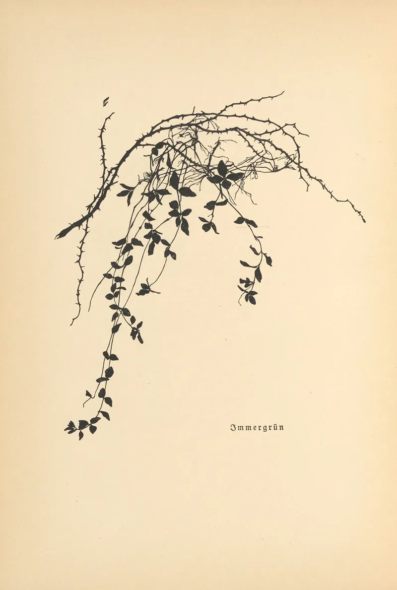 Vertrauen Pl 24
