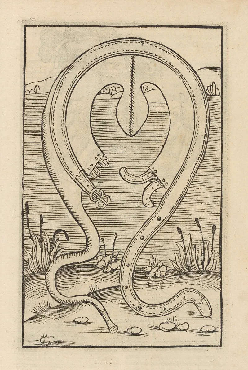 Vier Bucher Der Ritterschafft Pl 043