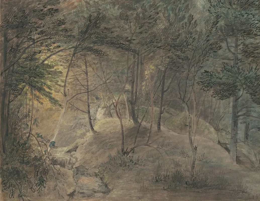 View From The Springhouse At Echo by William Russell Birch - Canvas Print