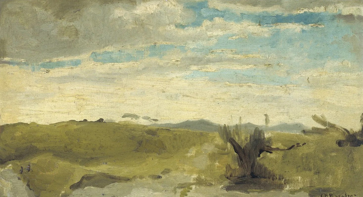 View In The Dunes Near Dekkersduin The Hague