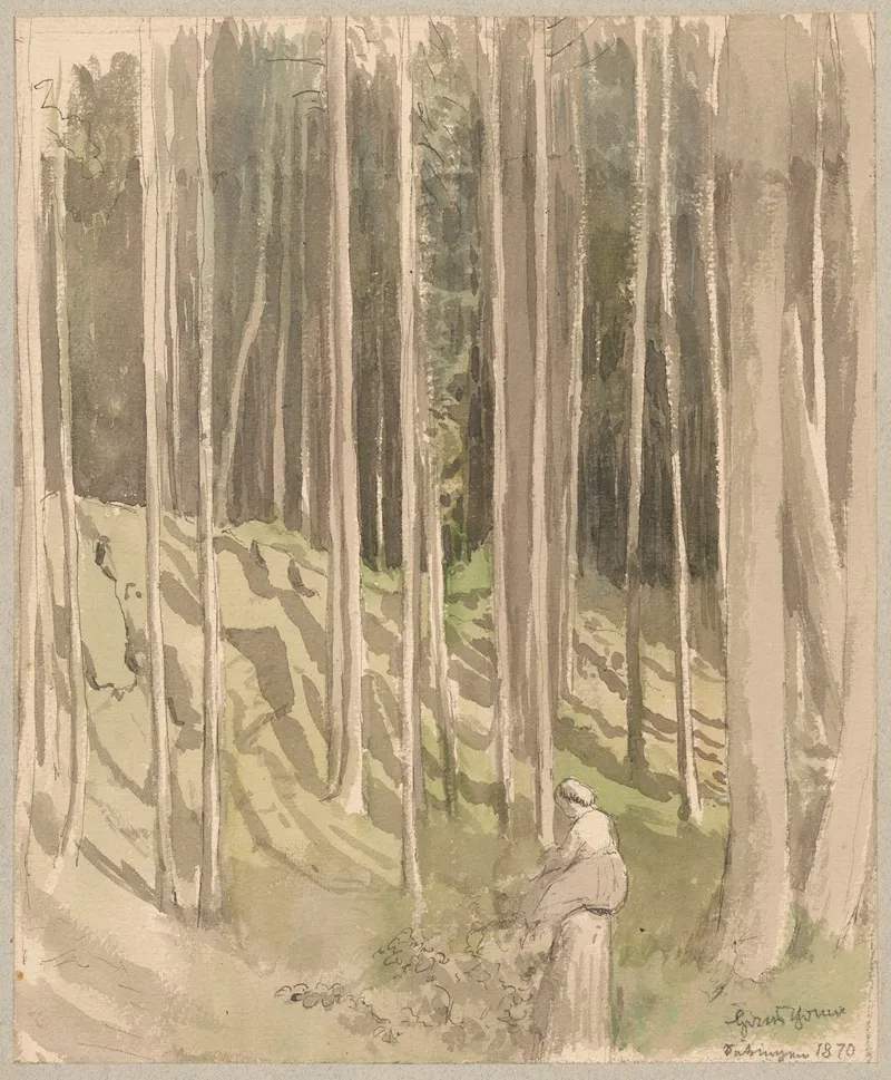 View Of A Forest In Sackingen