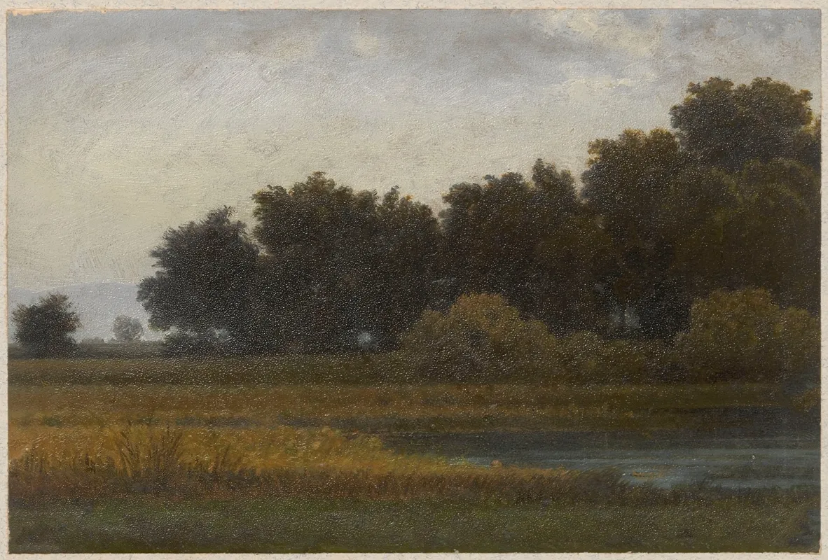 View Of A Meadow With A Pond