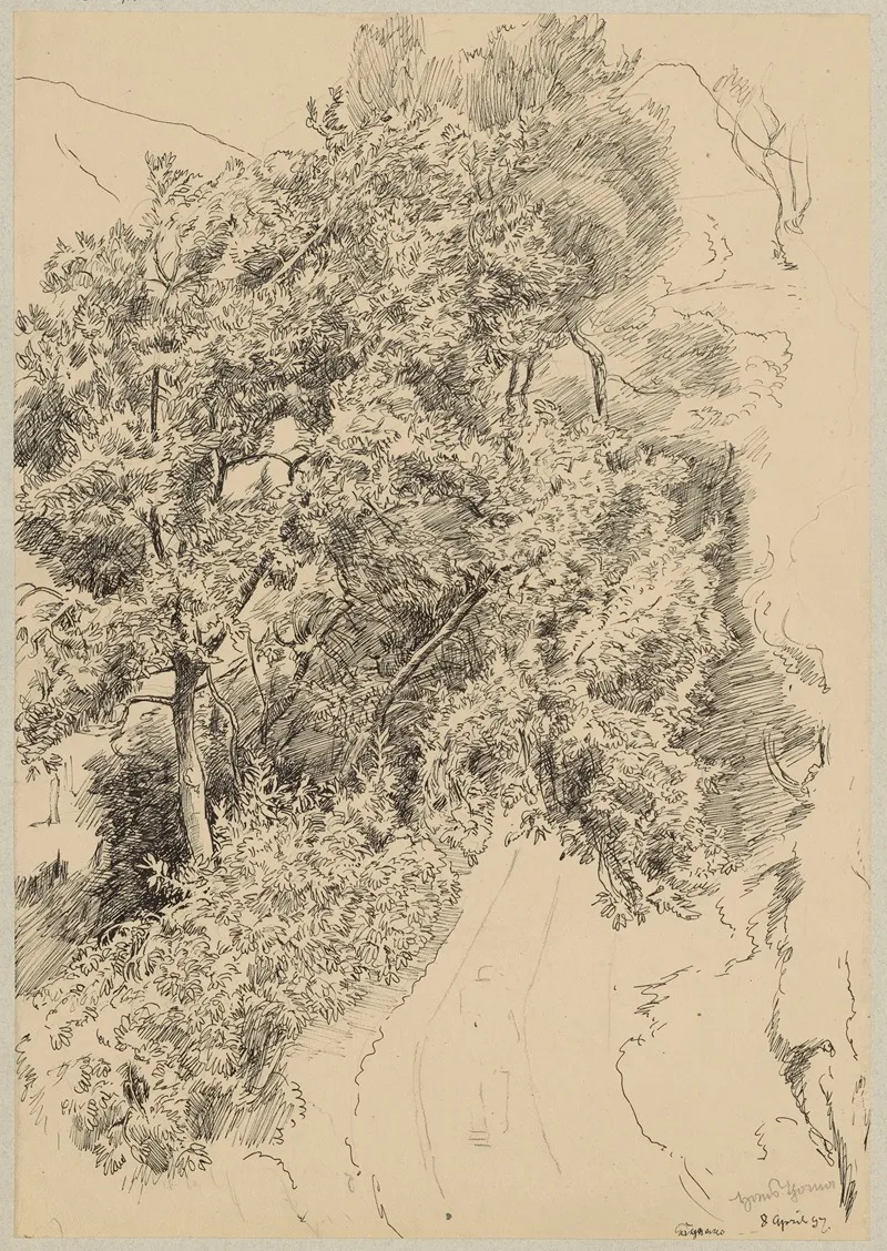 View Of A Mountain Road Among Trees In Cargnaco