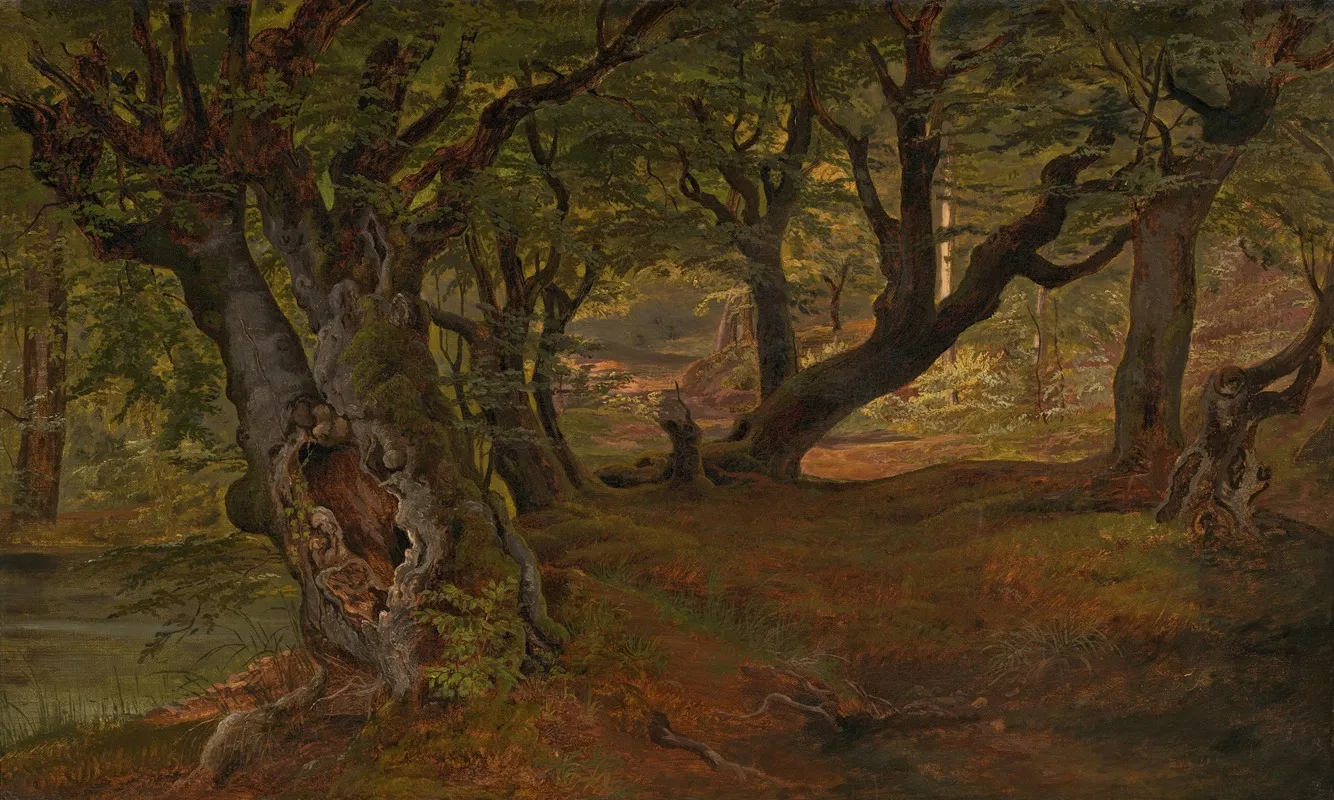 View Of Bregentved Forest Sjaeeland by Frederik Sødring - Canvas Print