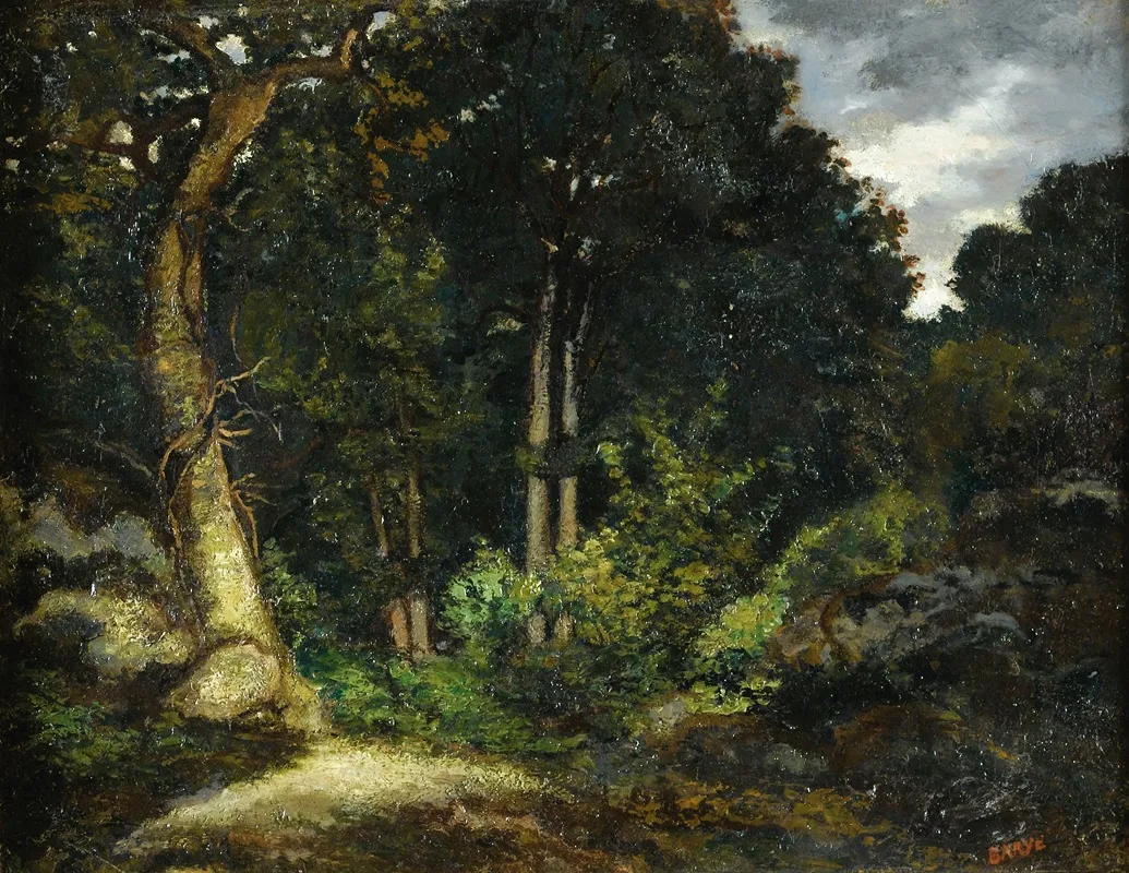 View Of Fontainebleau Forest