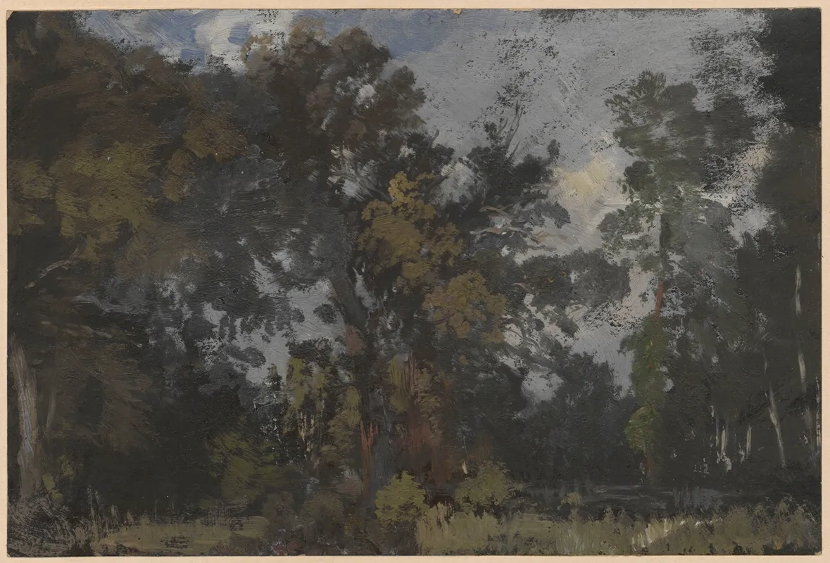 View Of Trees By The River Barycz