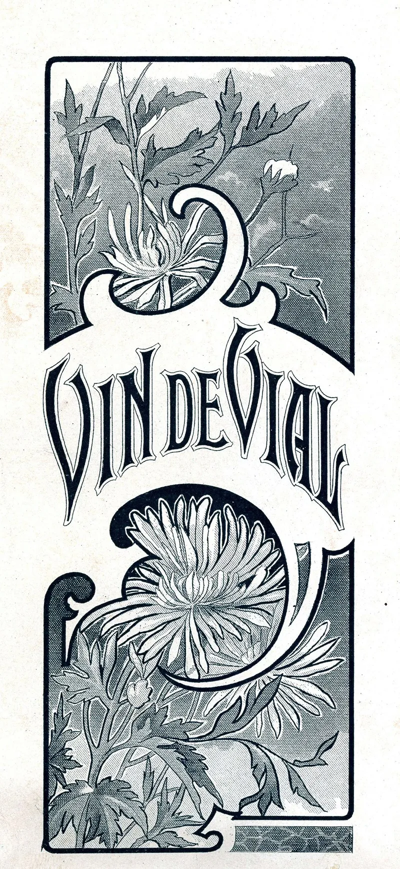 Vin De Vial 2