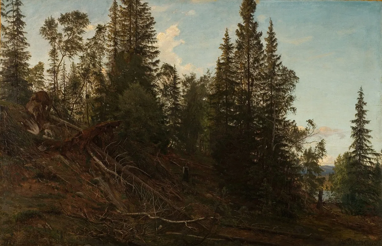 Vingerasheia Telemark