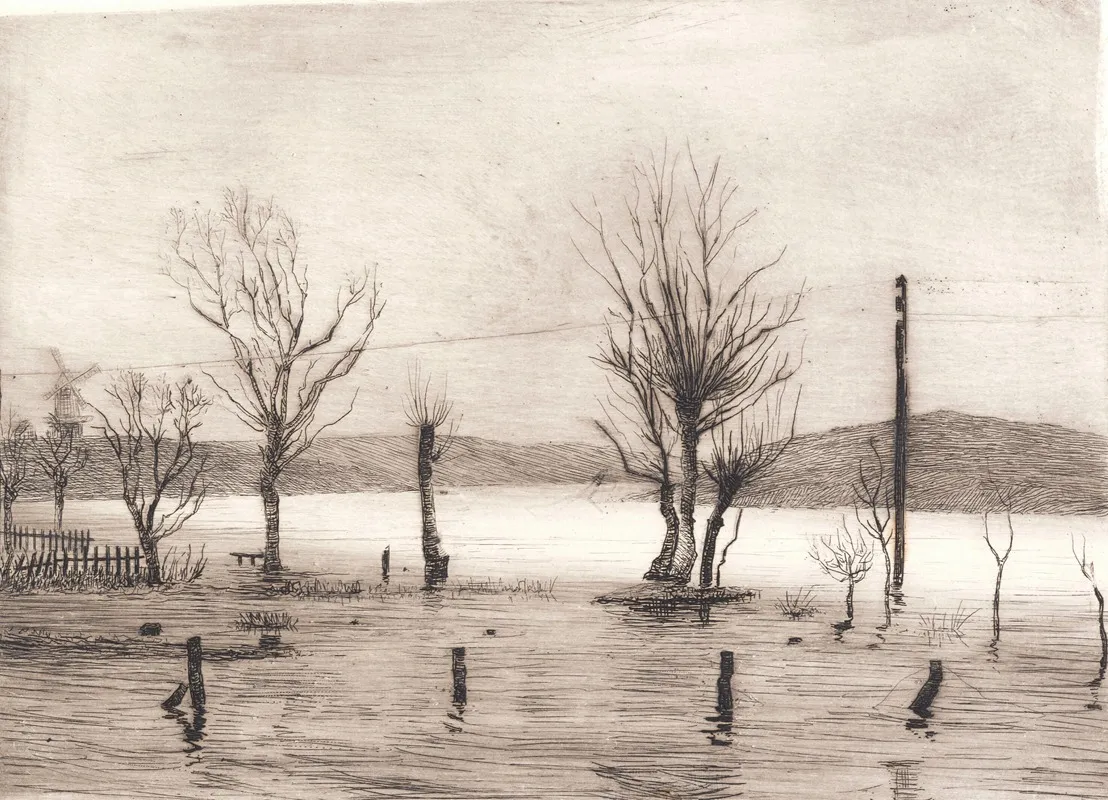 Vinterlandskab Ved Tyreholm