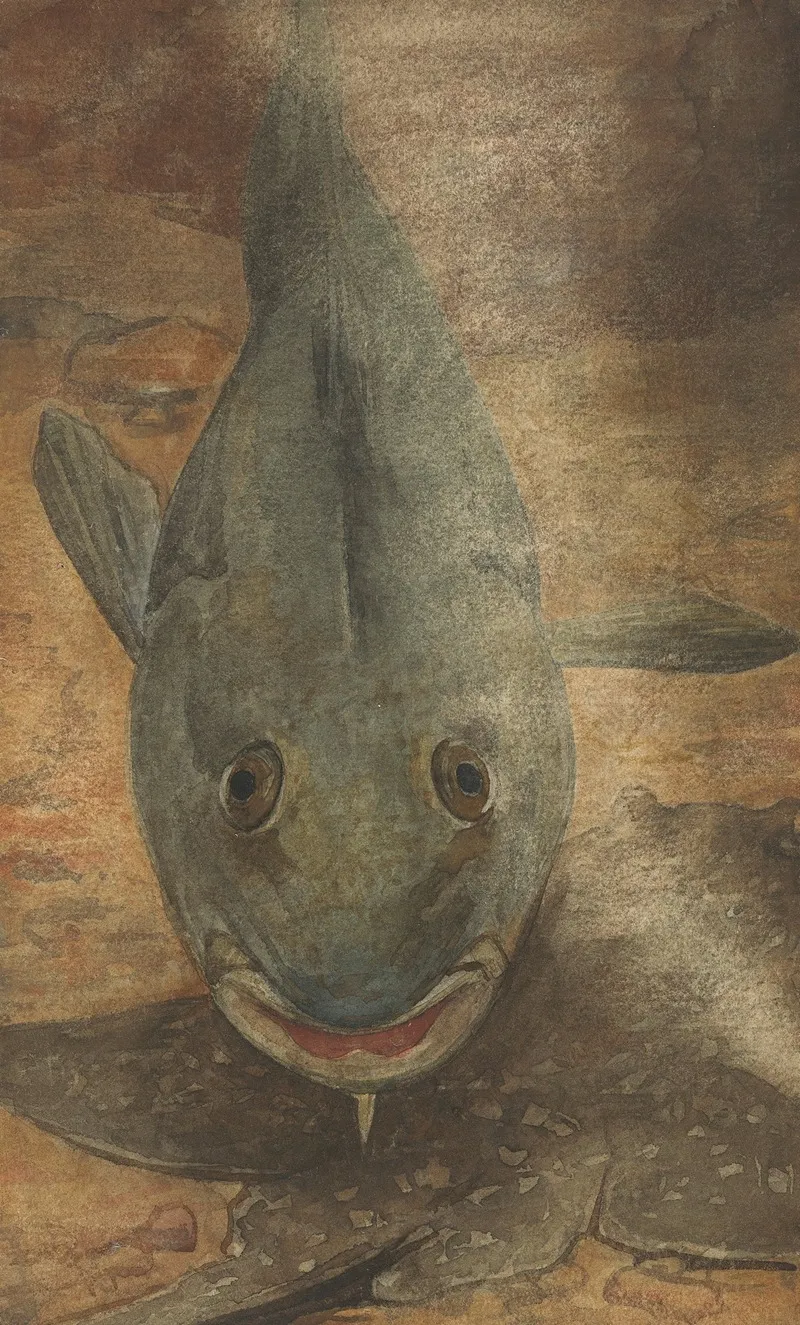 Vis Van Voren Gezien