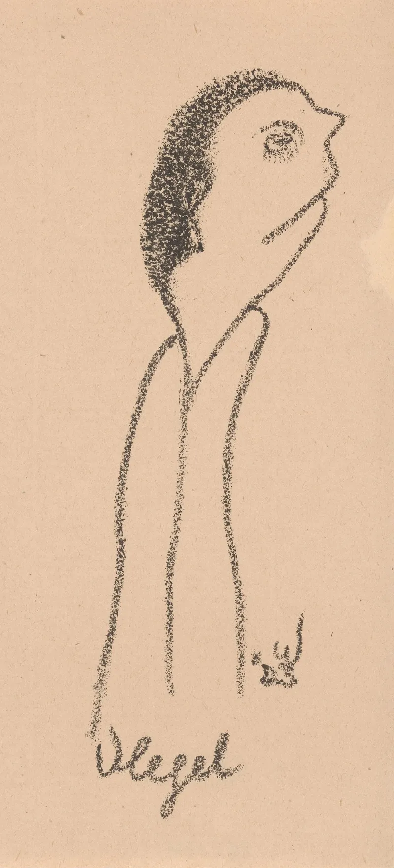 Vlegel by Erich Wichmann - Canvas Print