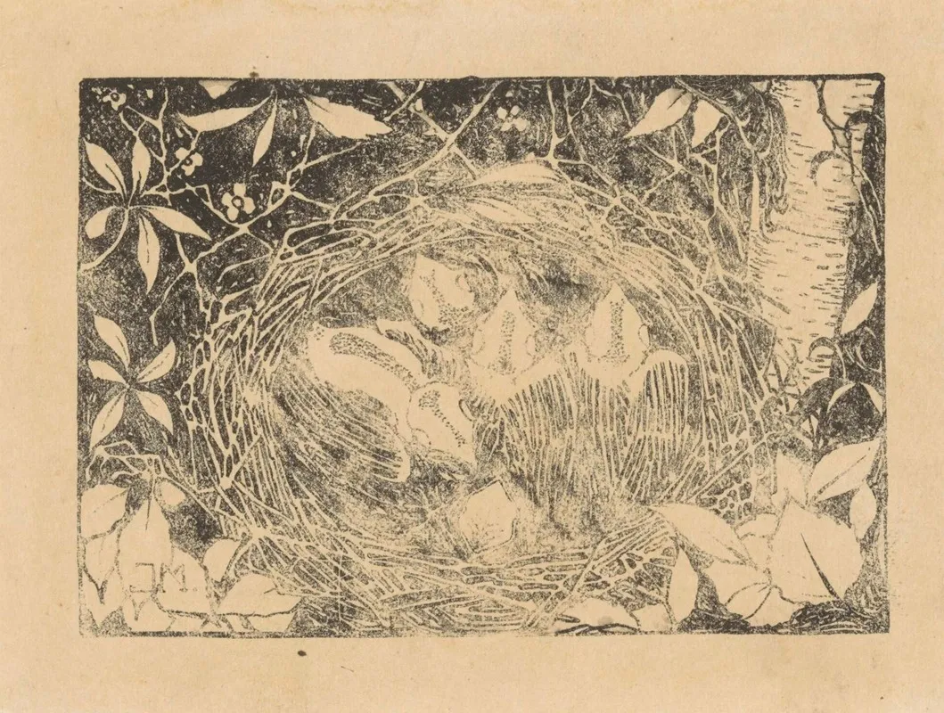 Vogelnest