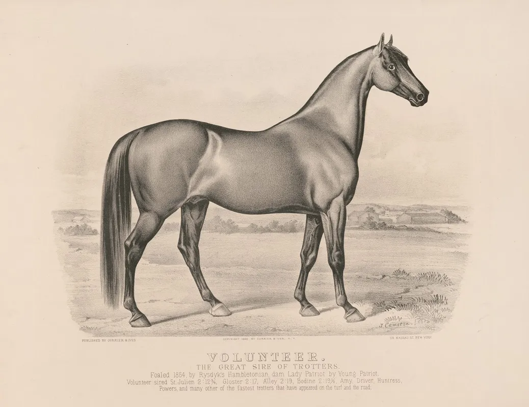 Volunteer The Great Sire Of Trotters by John Cameron - Canvas Print