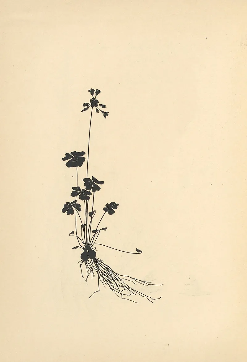 Vom Zufrieden Werden Pl 32