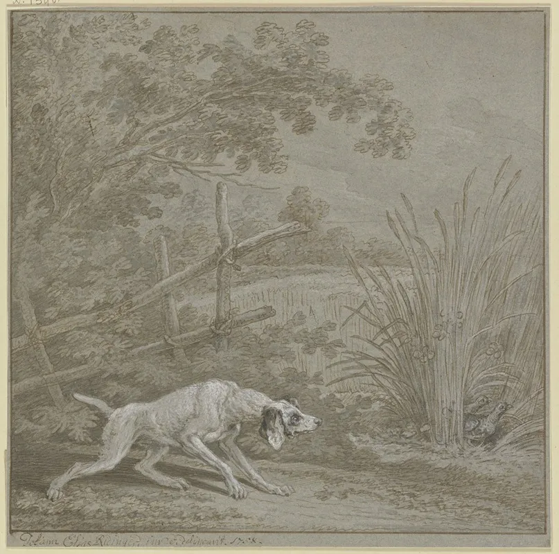Vorsteherhund Auf Rebhuhner