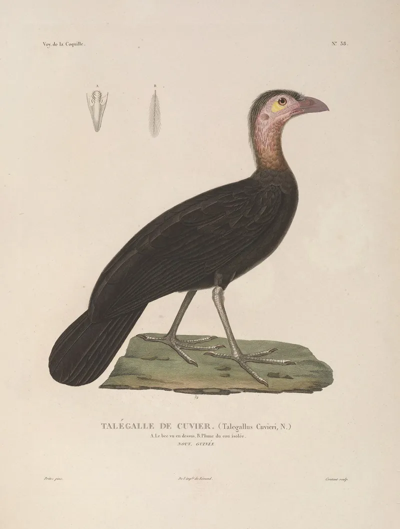 Voyage Autour Du Monde Pl 144