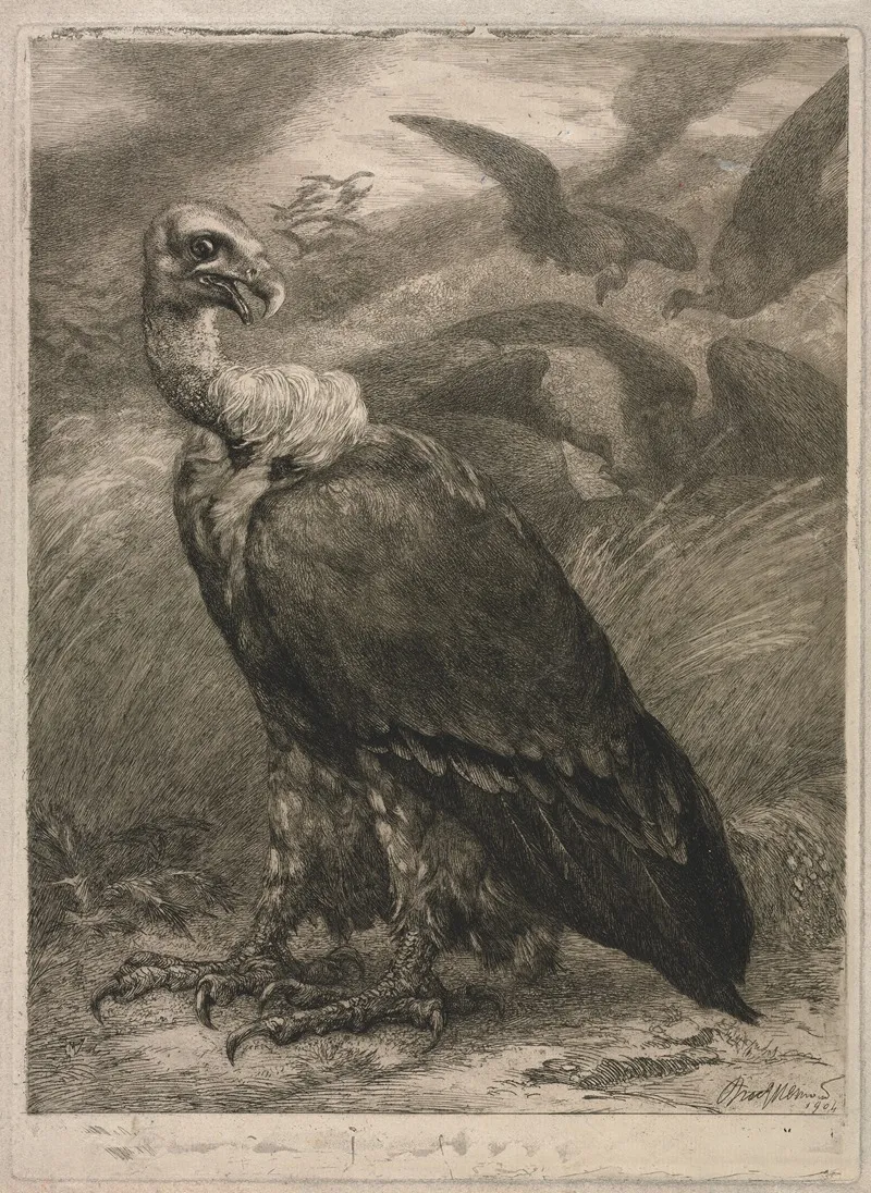 Vulture