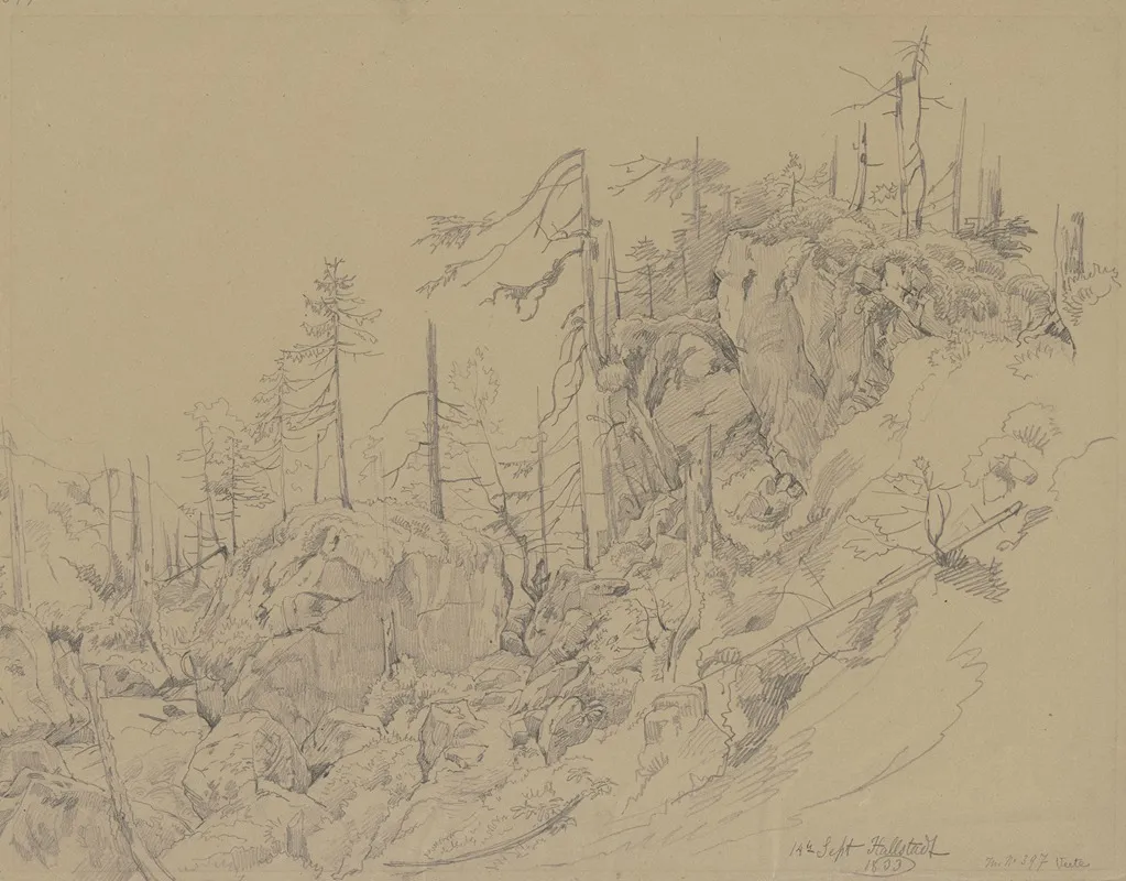 Waldlandschaft Bei Hallstadt by Carl Morgenstern - Canvas Print
