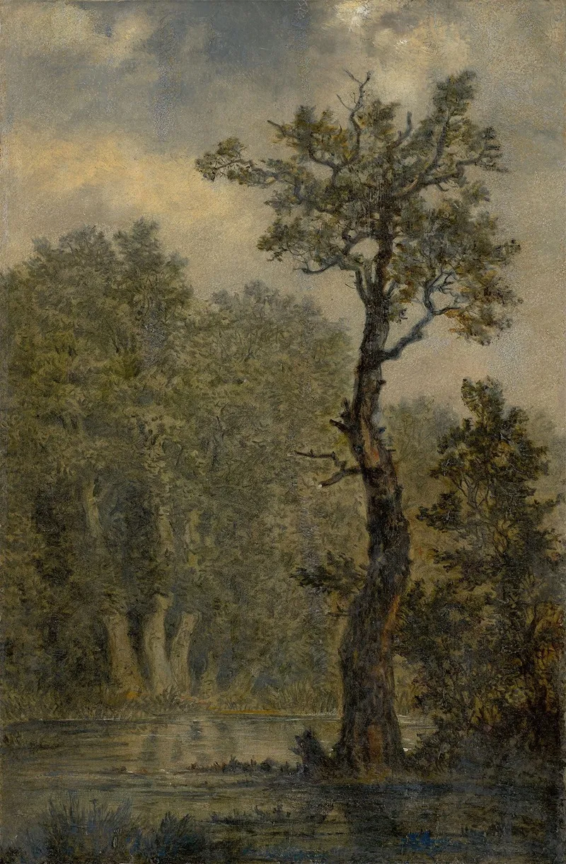 Waldlandschaft Landschaftsstudie Vermutlich Das Rosental Bei Leipzig by Carl Gustav Carus - Canvas Print