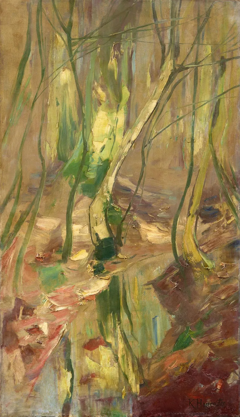 Waldlandschaft Mit Bachlauf Golmer Luch