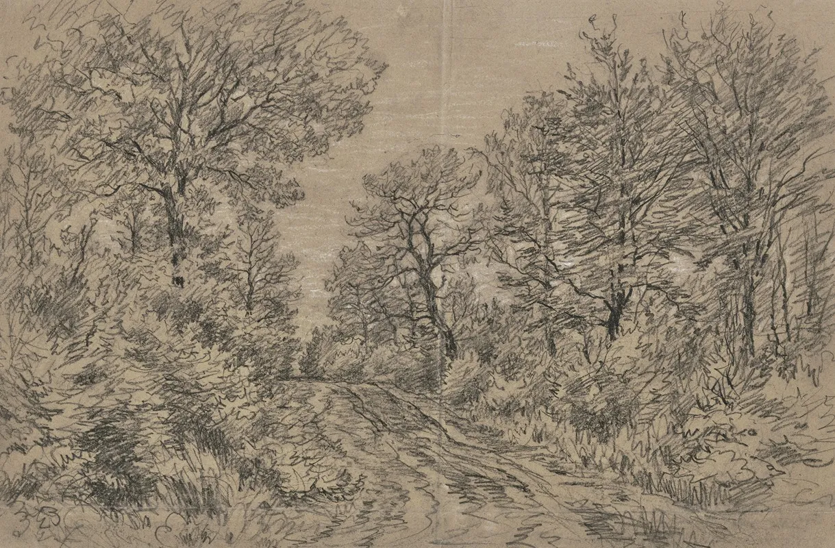 Waldpartie Mit Einem Fahrweg