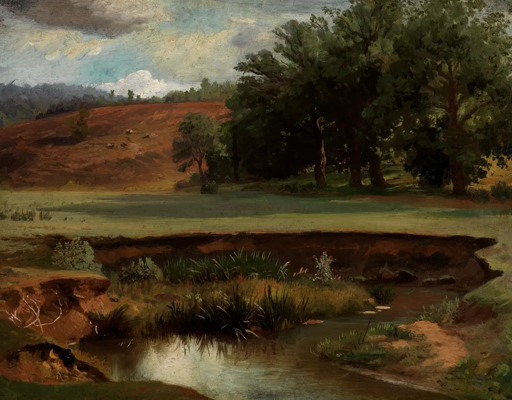 Waldrand Mit Teich Im Vordergrund