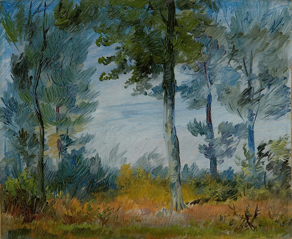 Waldrand Waldlichtung