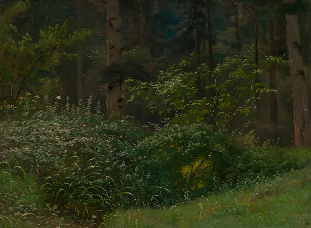 Waldwiese Mit Stauden Und Strauchern