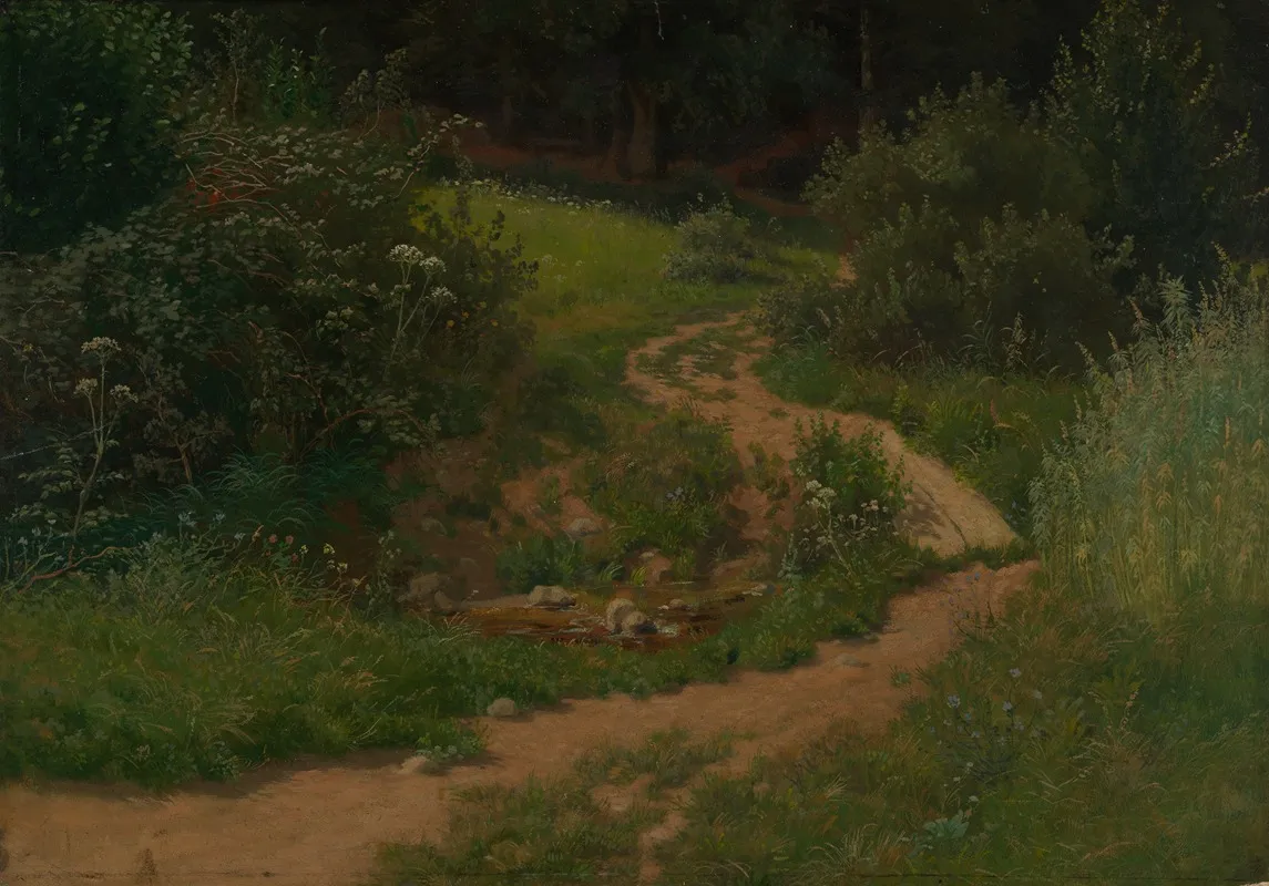 Waldwiese Mit Weg Und Wassertumpel