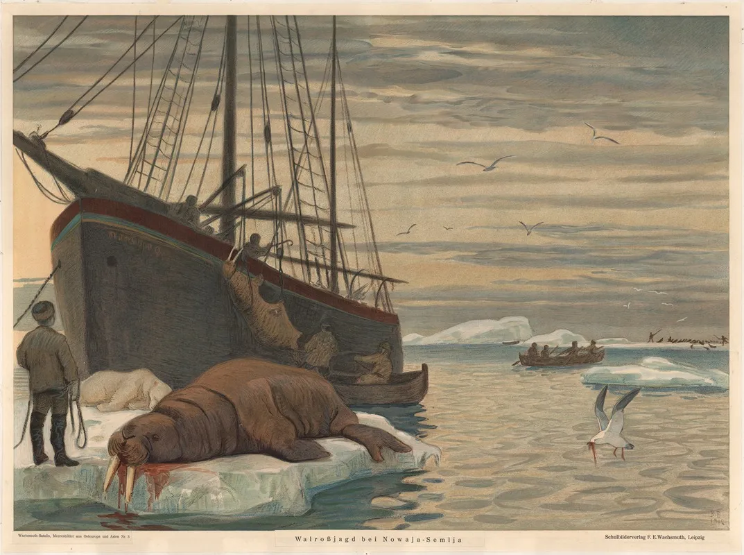 Walrus Hunting Near Novaya Zemlya