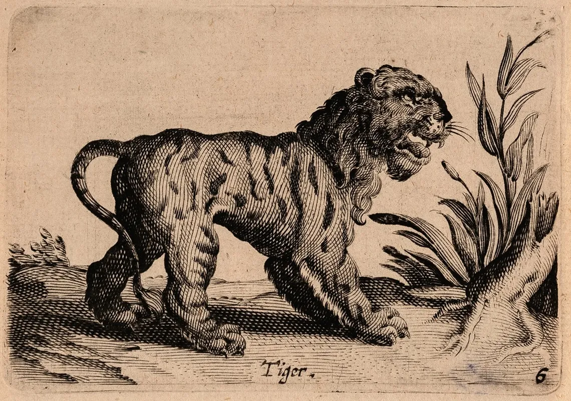 Warande Der Beesten 3